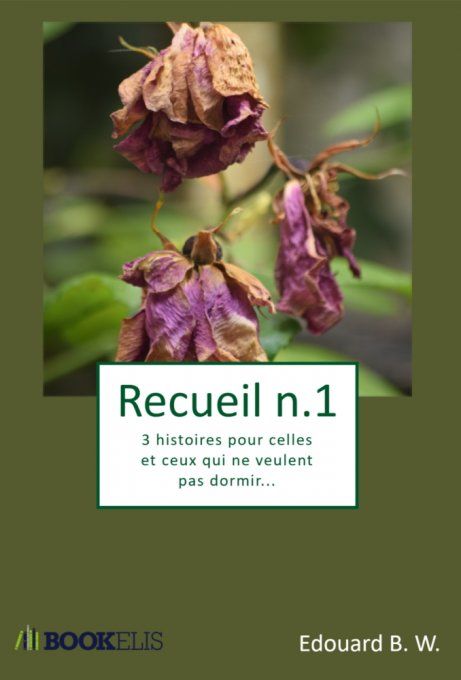 Recueil n.1 - 3 histoires pour celles et ceux qui ne veulent pas dormir... - eBook