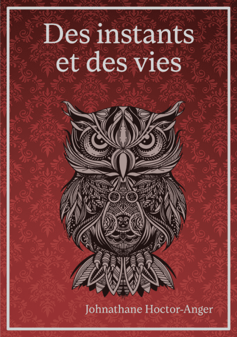 Des instants et des vies - eBook