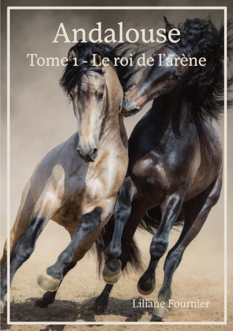 Andalouse, tome 1 - Le roi de l'arène